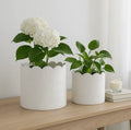CERAMIC ARCH PLANTER